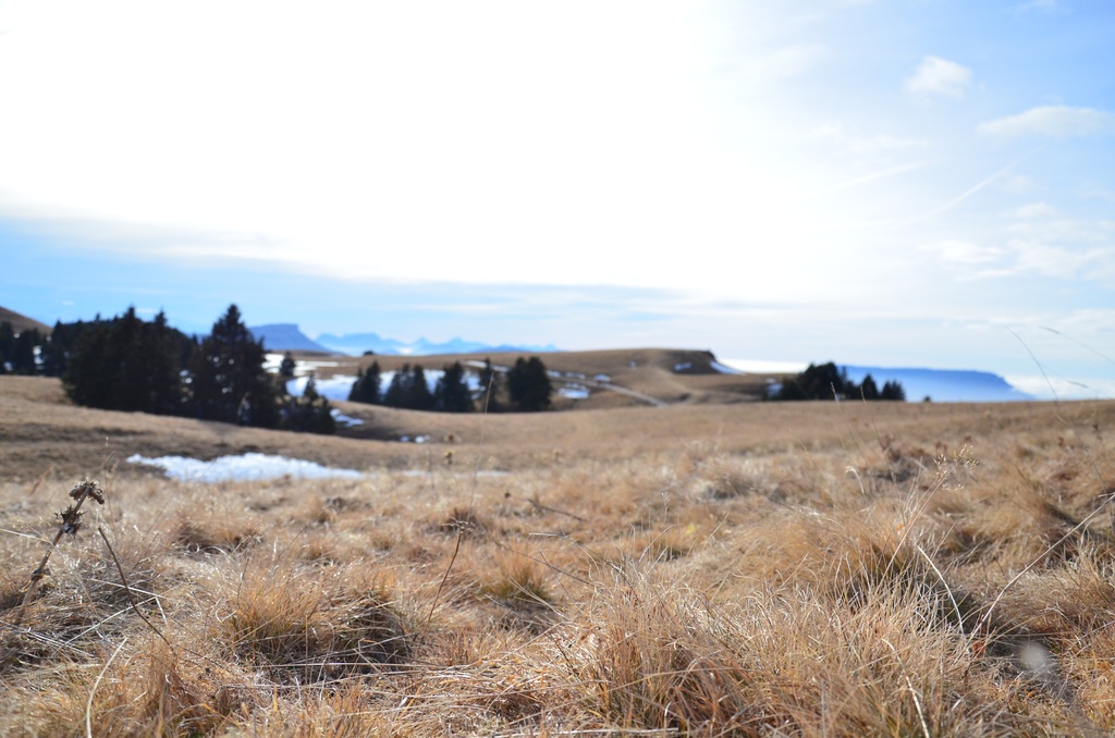 2016-12 France/Le Semnoz/DSC_0128.JPG